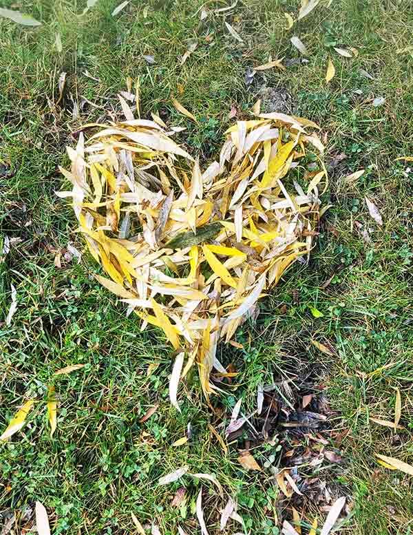 Photo 7: Yellow leaves in the shape of a heart on grass