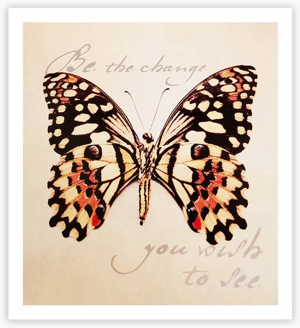 Photo 4: Butterfly with words 