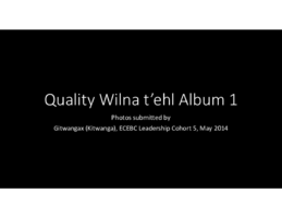 Quality Wilna T'ehl Photo Album 1 (PDF)